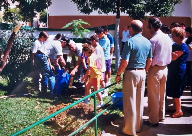 El día 21 de septiembre de 1991, plantamos una acacia de Constantinopla en el jardín lateral que hay junto a la Peña Sevillista de la barriada Ntra. Sra. de la Oliva